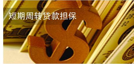 短期贷款
