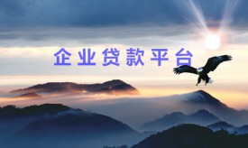 企业贷款有哪些(北京企业贷款的种类和优势)