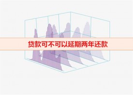 贷款可不可以延期两年还款(延期还款时间规定)