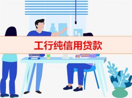 工行有纯信用贷款吗（工行纯信用贷款利息）