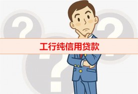 工商银行纯信用贷款能贷多少（工行纯信用贷款条款）