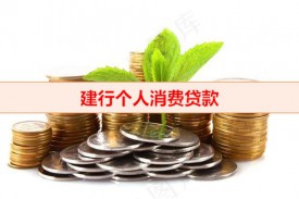 建行个人消费类贷款有哪些(建行消费贷款利率及计算)