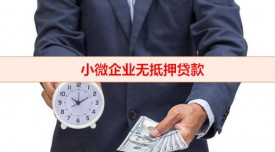 小微企业没有抵押怎么贷款(小微企业无抵押贷款方式整理)