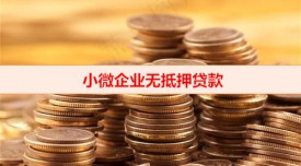 小微企业无抵押急贷怎么办(小微企业无抵押贷款放款)