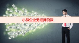 哪些银行支持小微企业贷款(小微企业无抵押贷款利率)